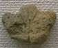Oldest dogu Jomon period