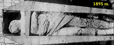 Airi� mil�inas, 1895