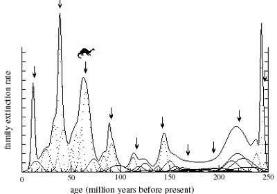 Periodity of extinctions