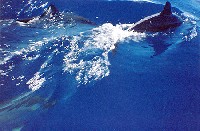 Azores Island