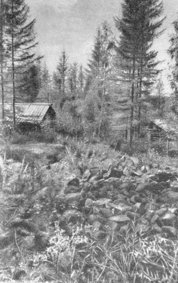 Kuliko trobel
