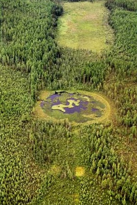 Tunguska: strange sign; expedition of 2001