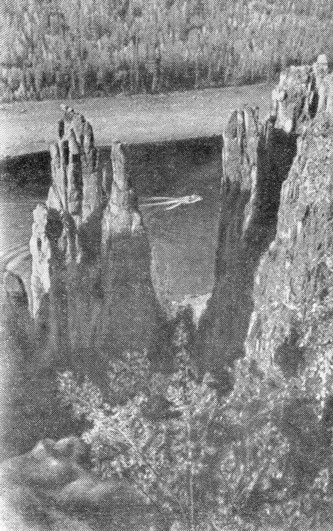 Akmenuotoji Tunguska