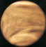 Venus photo