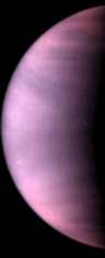 Venus photo