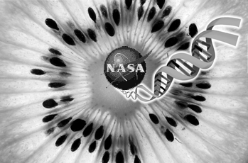 DNA in NASA space