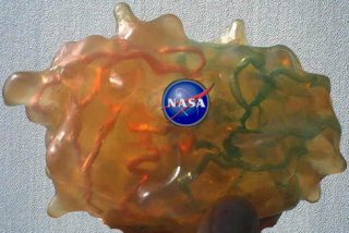 HIV in NASA space
