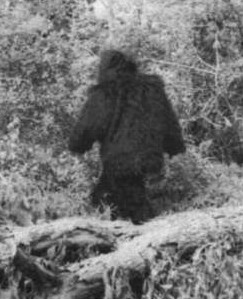 Bigfoot in woods