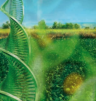 Spiral of Life