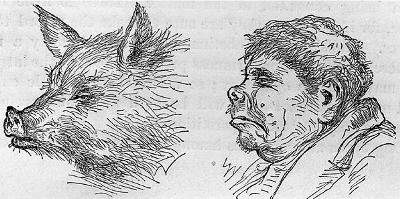 Phrenology
