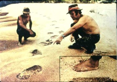 Footprints of Orang Dalam