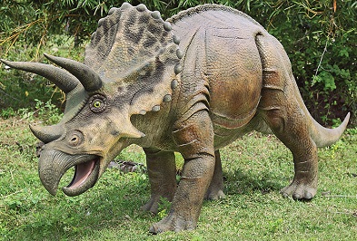 Triceratops