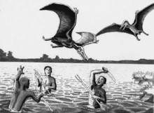 Kongomato attacks natives at boat