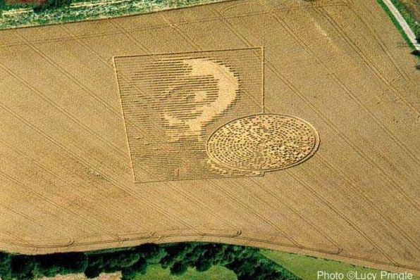 Alien face near Winchester, Hampshire