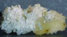 White powder