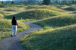 Mima Mounds