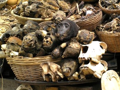 Nigerian Juju