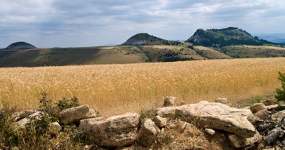 Languedoc landscape