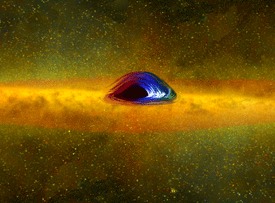 Fast rotating black hole with disc