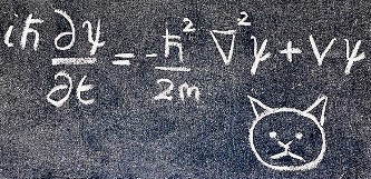 Schrodinger Cat Equation