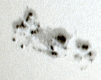 Sunspot group at 2004