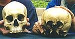 mexican skulls