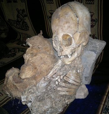 Alien skull Peru