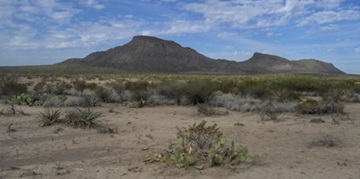 Tylos zona Meksikoje
